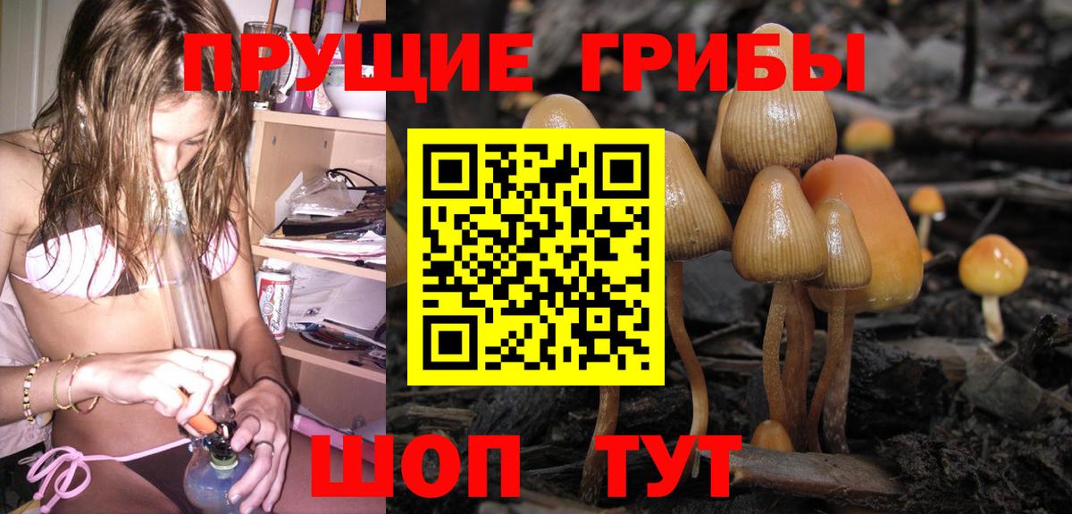 Галлюциногенные грибы Magic Shrooms  Псилоцибиновые грибы мицелий  Вход с VPN  Асино 